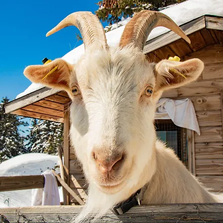Les Villages Du Bachat Hotel 2*